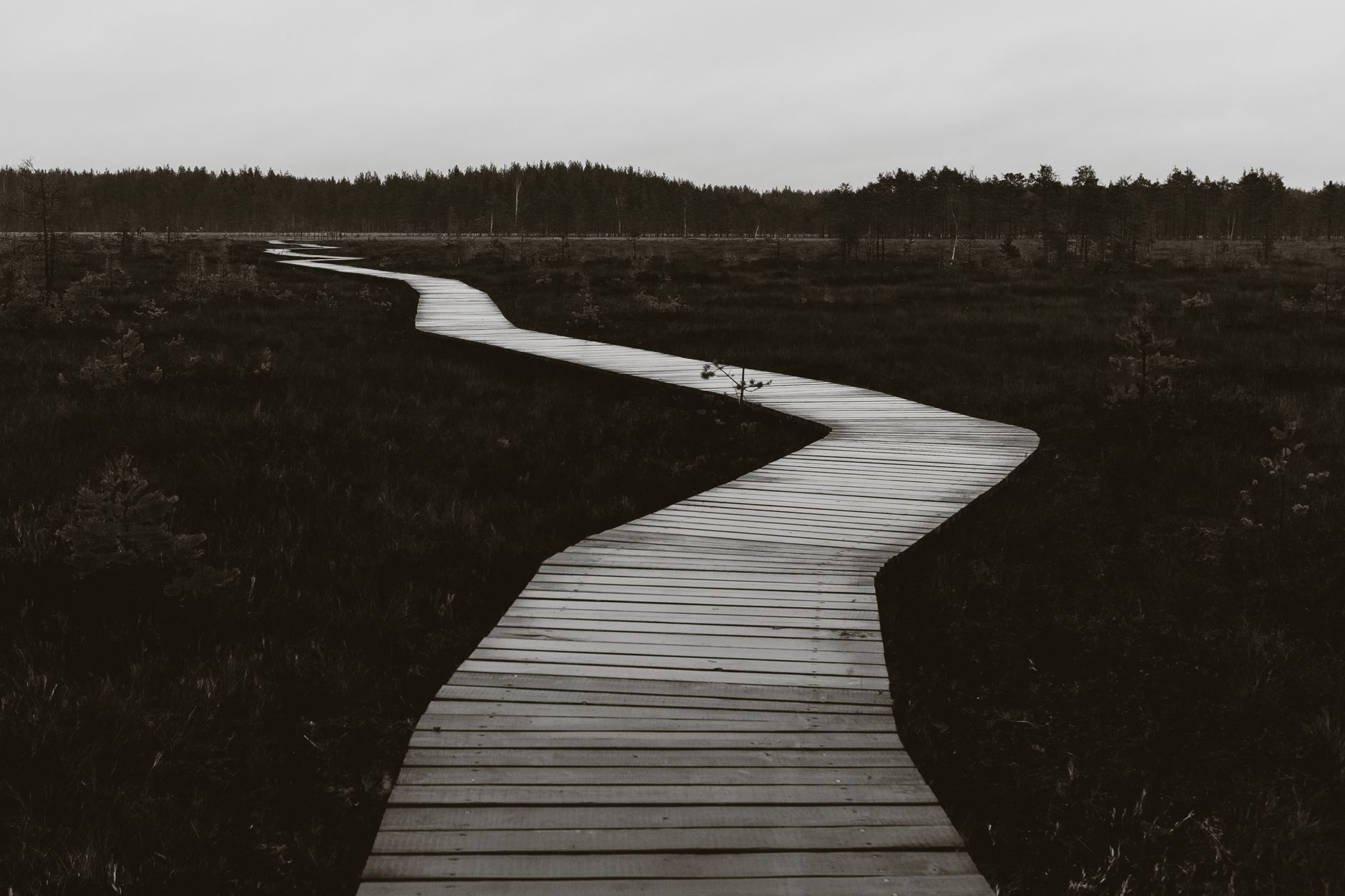 Houten paden over de uitgestrekte heide van de Hoge Venen