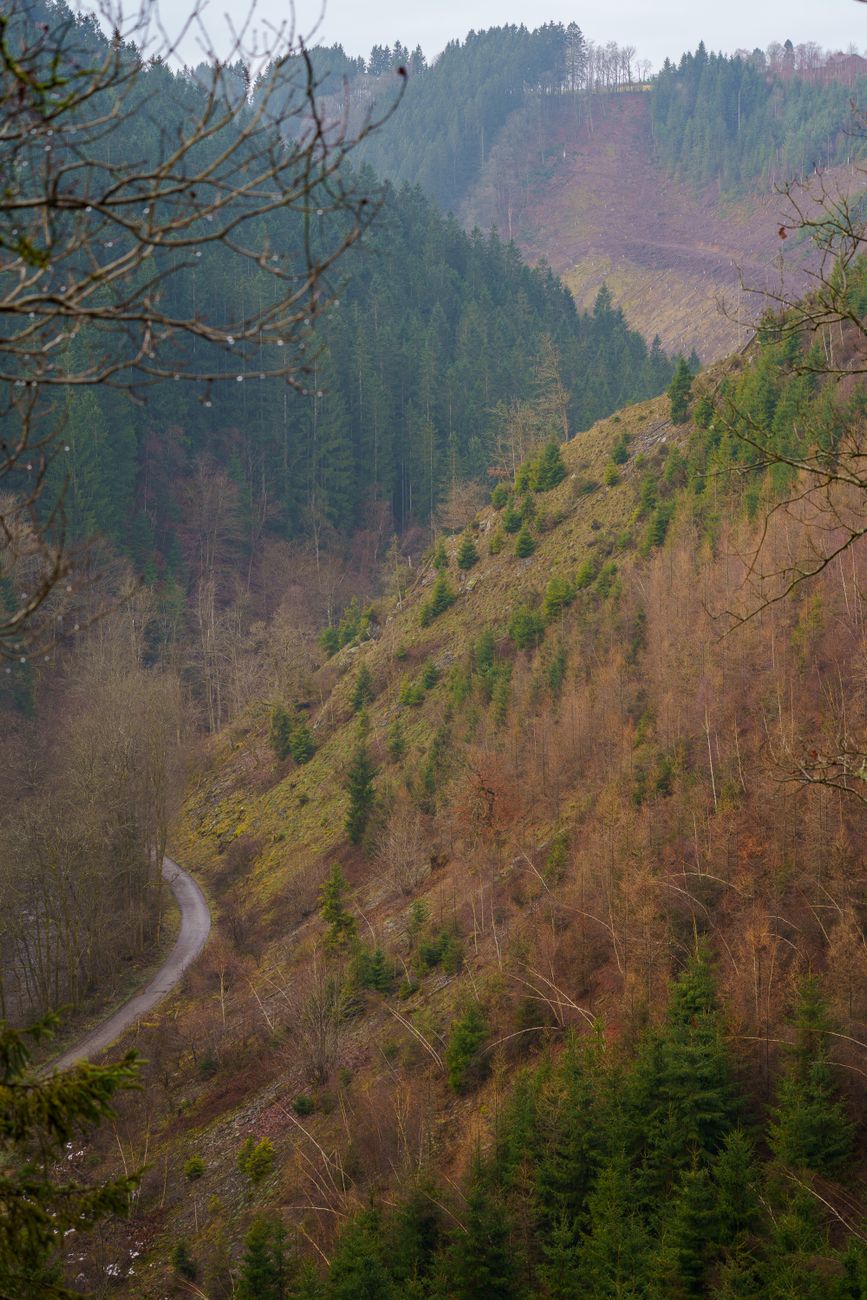 Heuvelachtig landschap Ardennen